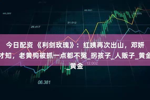今日配资 《利剑玫瑰》：红姨再次出山，邓妍才知，老黄狗被抓一点都不冤_拐孩子_人贩子_黄金
