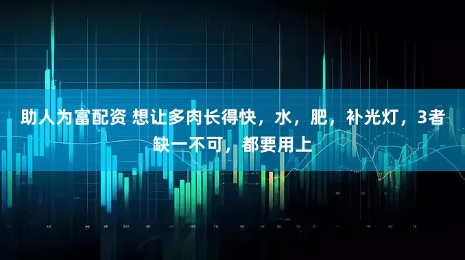 助人为富配资 想让多肉长得快，水，肥，补光灯，3者缺一不可，都要用上