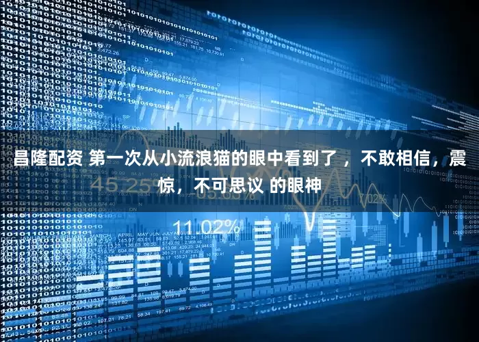 昌隆配资 第一次从小流浪猫的眼中看到了 ，不敢相信，震惊，不可思议 的眼神
