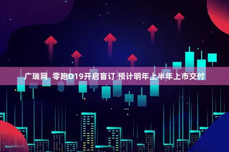 广瑞网  零跑D19开启盲订 预计明年上半年上市交付
