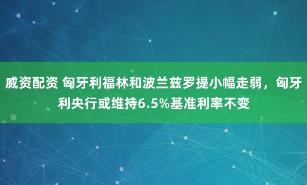 威资配资 匈牙利福林和波兰兹罗提小幅走弱，匈牙利央行或维持6.5%基准利率不变